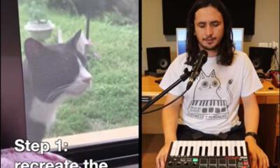 Suara Kucing Menjadi Lagu