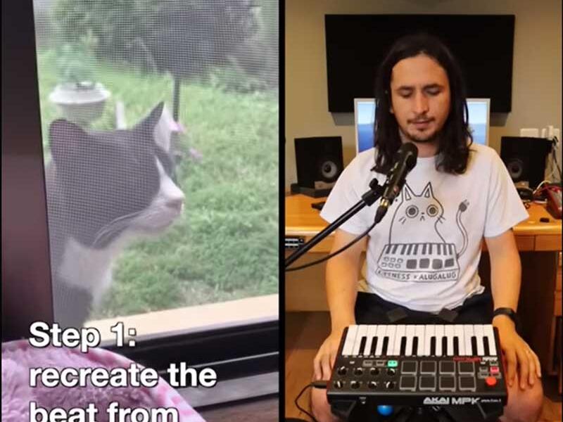 Suara Kucing Menjadi Lagu