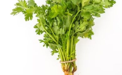 Manfaat Seledri untuk Diet