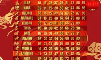 shio 2025 1024x1024 1