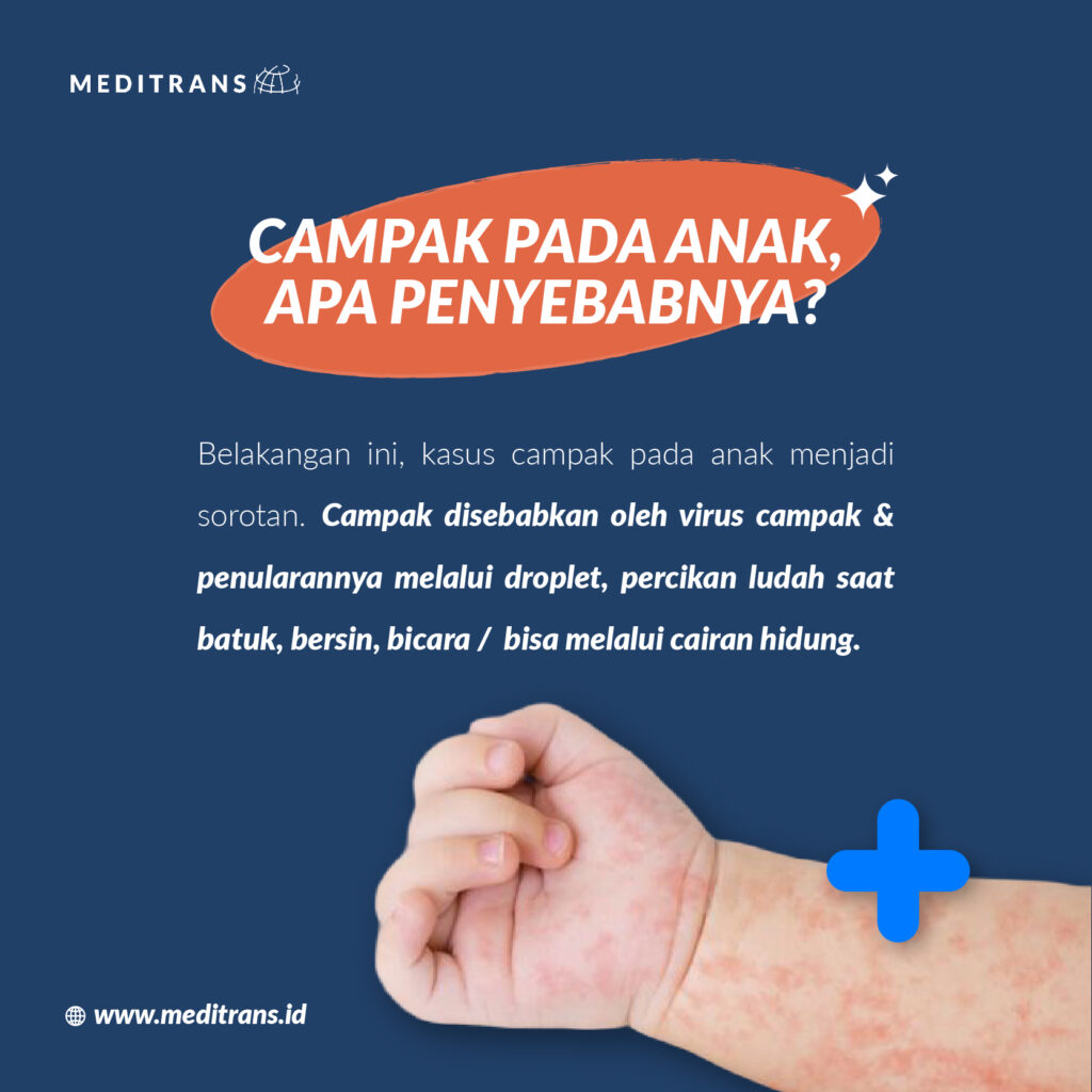 Feed 12 Januari 2023 Meditrans 01