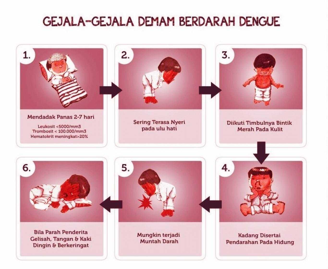 sedang 1571037026Gejala DBD Pada Anak Usia 1 dan 2 Tahun